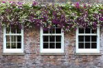 Sliding Sash Windows